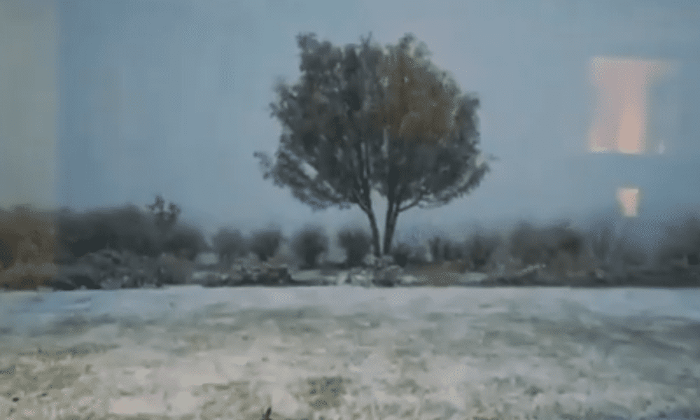 Χιονοκαταιγίδα «χτύπησε» την Κρήτη - Ένα σπάνιο φαινόμενο [Video] . Ένα σπάνιο μετεωρολογικό φαινόμενο για τα .....