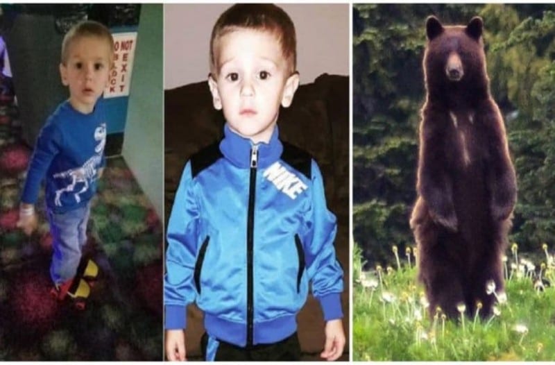 Παιδί βρέθηκε δύο ημέρες μετά την εξαφάνισή του: Το πρόσεχε μια Αρκούδα! Ένα αγόρι 3 ετών που βρέθηκε 2 ημέρες έπειτα από την...
