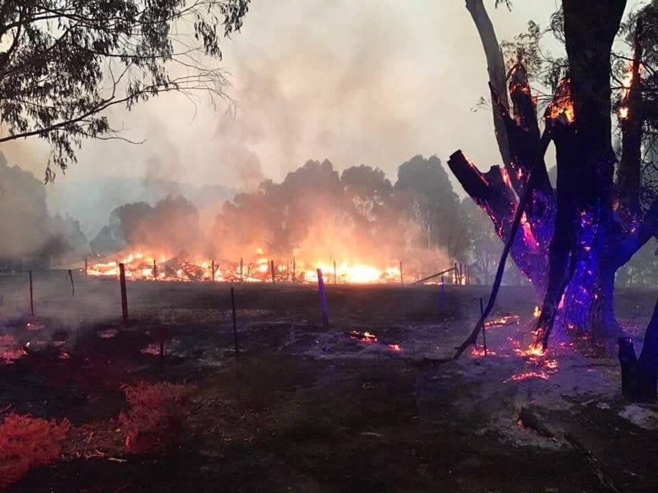 Πύρινη κόλαση στην Αυστραλία – Καίγονται σπίτια. Χίλιοι Αυστραλοί πυροσβέστες έχουν κινητοποιηθεί σήμερα για την αντιμετώπιση...