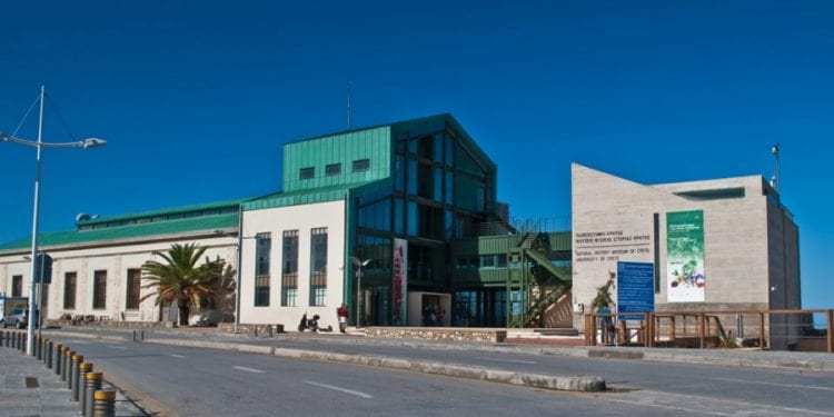 A city of Gold στο Μουσείο Φυσικής Ιστορίας Κρήτης. Το Μουσείο Φυσικής Ιστορίας Κρήτης – Πανεπιστήμιο Κρήτης σε συνεργασία με...