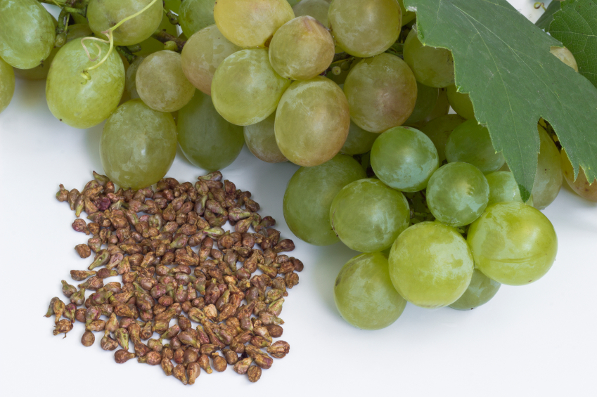 grape-seed-extract-dosages