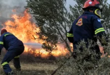 Γιάννης Κεφαλογιάννης: Είμαστε σε μόνιμη ετοιμότητα – Στόχος να κερδίσουμε χρόνο πριν τον κερδίσει η φωτιά