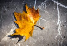 Μερομήνια των Χριστουγέννων: Τι «δείχνουν» για τον καιρό του νέου έτους