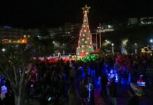 Δήμος Αγίου Νικολάου:Φωταγώγηση Χριστουγεννιάτικου Δέντρου στη Λίμνη του Αγίου Νικολάου