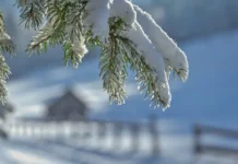 Κρήτη: Το 2026 κάνει ποδαρικό με χιόνια στα ορεινά!