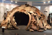 Φάρος της Ευρώπης η αρχαία Ελλάδα – Η έρευνα αρχαίου DNA που τεκμηριώνει τον ρόλο της