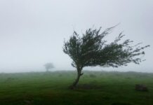 Κρήτη:Οδηγίες από την ΕΛ.ΑΣ προς τους πολίτες κατά τις μετακινήσεις τους λόγω των ισχυρών ανέμων