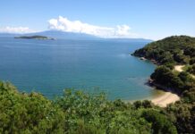 Βουλή: Σφοδρές αντιδράσεις για τη δόμηση σε Natura περιοχές, κατατέθηκε το νομοσχέδιο