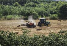 Κτηματολόγιο: Τέλος στο «μπλόκο» των αγροτικών ενισχύσεων – Πώς θα πληρωθούν εκατομμύρια ευρώ οι παραγωγοί