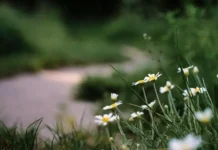 Καιρική αστάθεια μετά την Πρωτομαγιά – Τι “βλέπει” ο Θοδωρής Κολυδάς