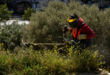 Ακαθάριστα οικόπεδα: Ώρα μηδέν για τους ιδιοκτήτες – Έρχονται drones, καταγγελίες και πρόστιμα-«φωτιά» έως 2.000 ευρώ