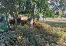 Ευ. Τουρνάς: Στις 23/6 ξεκινούν οι έλεγχοι για τα ακαθάριστα οικόπεδα