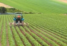 Λάθος στοιχεία και πλαστά δικαιολογητικά στο ΟΣΔΕ 2026 φέρνουν πρόστιμα έως 20.000 ευρώ!