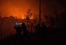 Το πέταλο του θανάτου: Πώς οι ακραίες συνθήκες έστησαν τη μοιραία παγίδα για τους δύο πυροσβέστες