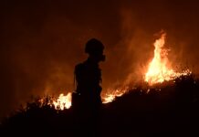 Η Ελλάδα στις φλόγες: 33 συλλήψεις για εμπρησμό τις τελευταίες πέντε ημέρες