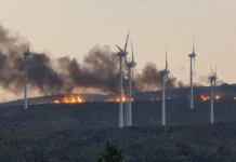 Φωτιά στη Σητεία: Μεγάλη κινητοποίηση της Πυροσβεστικής