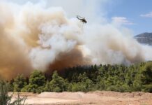 Σε ύφεση το πύρινο μέτωπο στη Χαλκιδική, αναφορές για καμένα σπίτια – Δραματικές εκκενώσεις δια θαλάσσης