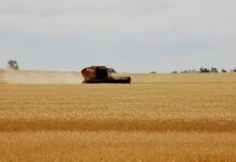 myAGRO: Οι 5 μεγάλες αλλαγές στις αγροτικές ενισχύσεις – Οι κρίσιμες ημερομηνίες για τους παραγωγούς