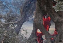 Νότιο Ρέθυμνο: 19 κτίρια κρίθηκαν ακατάλληλα μετά τη μεγάλη φωτιά – Ολοκληρώθηκαν οι πρώτες αυτοψίες