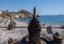 Δήμαρχος Αγίου Βασιλείου: Μνημείο για τους δύο πυροσβέστες και άμεση στήριξη των πυρόπληκτων