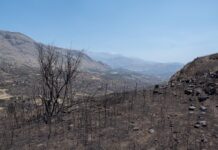 Ανακοίνωση για την καταγραφή ζημιών στις πληγείσες επιχειρήσεις από τις πυρκαγιές της 29ης Ιουλίου έως 1ης Αυγούστου 2026 στον Δήμο Αγίου Βασιλείου της ΠΕ Ρεθύμνης