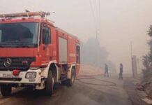 Σε υψηλό κίνδυνο πυρκαγιάς ολόκληρη η Κρήτη τη Δευτέρα 3 Αυγούστου