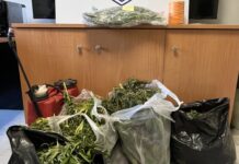Χανιά:Συνελήφθη έγκλειστος σωφρονιστικού καταστήματος, κατηγορούμενος για παραβάσεις νομοθεσίας περί ναρκωτικών -καλλιέργεια δενδρυλλίων κάνναβης