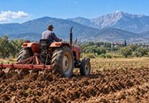 Κρήτη: Οι αγρότες ζητούν 5 ευρώ το λάδι και προειδοποιούν για νέα μπλόκα τον χειμώνα!